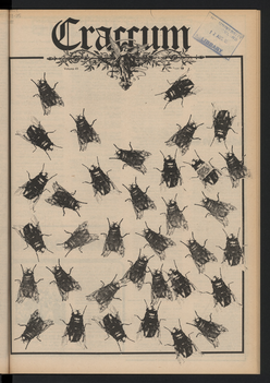 1975 Issue 19