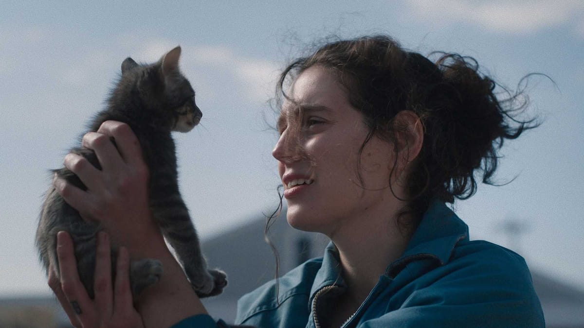 NZIFF 2025 Craccum Coverage | Sorry, Baby