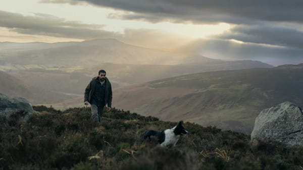 NZIFF 2025 Craccum Coverage | Bring Them Down