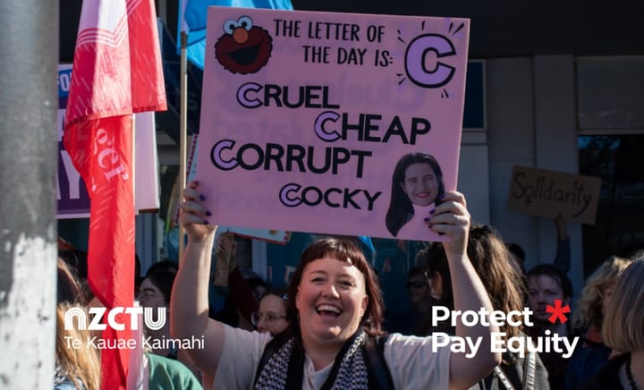 Nicola Willis attacks women workers