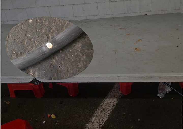 Auckland Night Markets: 'Accident Waiting to Happen'