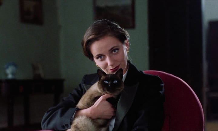 NZIFF 2025 Craccum Coverage | Abraham's Valley